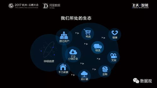 阿里數(shù)據(jù)服務(wù)產(chǎn)品開(kāi)發(fā)與大數(shù)據(jù)體系演進(jìn) 從平臺(tái)構(gòu)建到智能服務(wù)